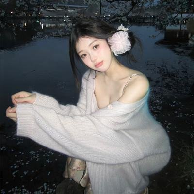 惹不起的殿下大人